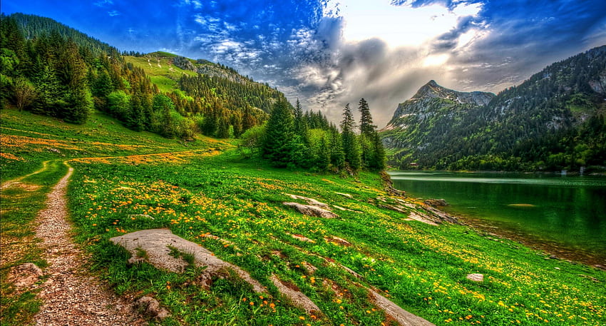 Çiçekli dağ çayırı, kır çiçekleri, yeşillik, gökyüzü, güzel, çayır, çimen, bahar, dağ, yamaç HD duvar kağıdı