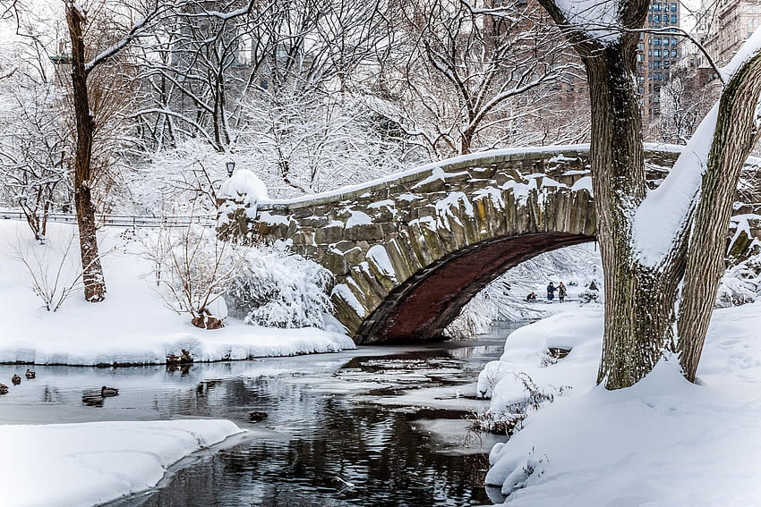 Gapstow Bridge Central Park after Nemo. Central park, Winter , Bridge, Snow Bridge HD wallpaper