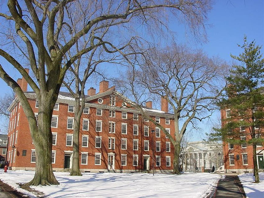 Harvard, uniwersytet, piękny, śnieg, drzewo Tapeta HD