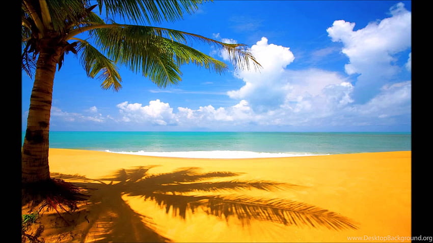 LUAU Music TIKI BAR Relaxing Caribbean Steel Drums Tropical Beach. Background HD wallpaper
