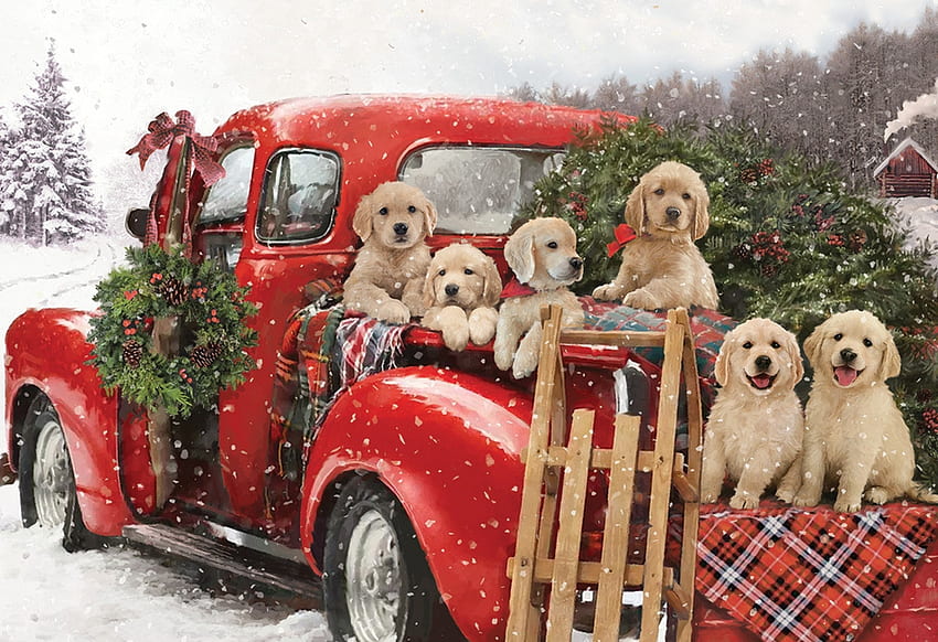 :), зима, куче, craciun, изкуство, кола, сладко, кученце, iarna, коледа, червено, реколта, caine HD тапет