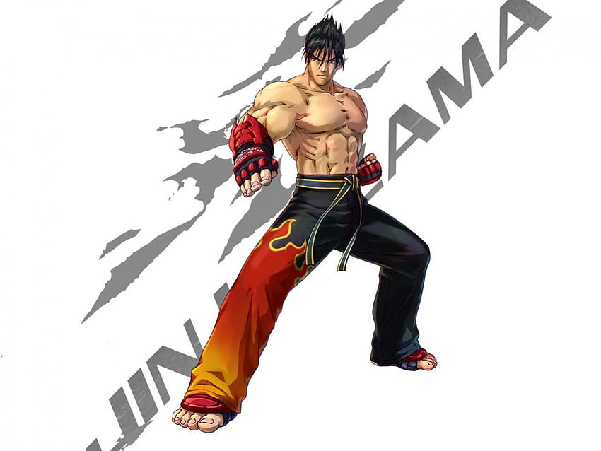 Jin Kazama, games, kazama jin, jin, white background, lone, video games, fighter, tekken, male, spiky hair HD wallpaper