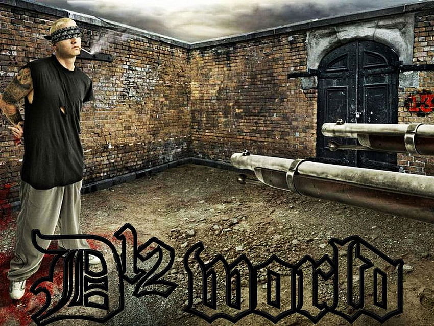 Álbum mundial de Eminem D12 fondo de pantalla