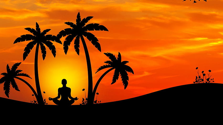 meditation, yoga, silhouette, palm trees, harmony 16:9 background, Yoga Silhouette HD wallpaper