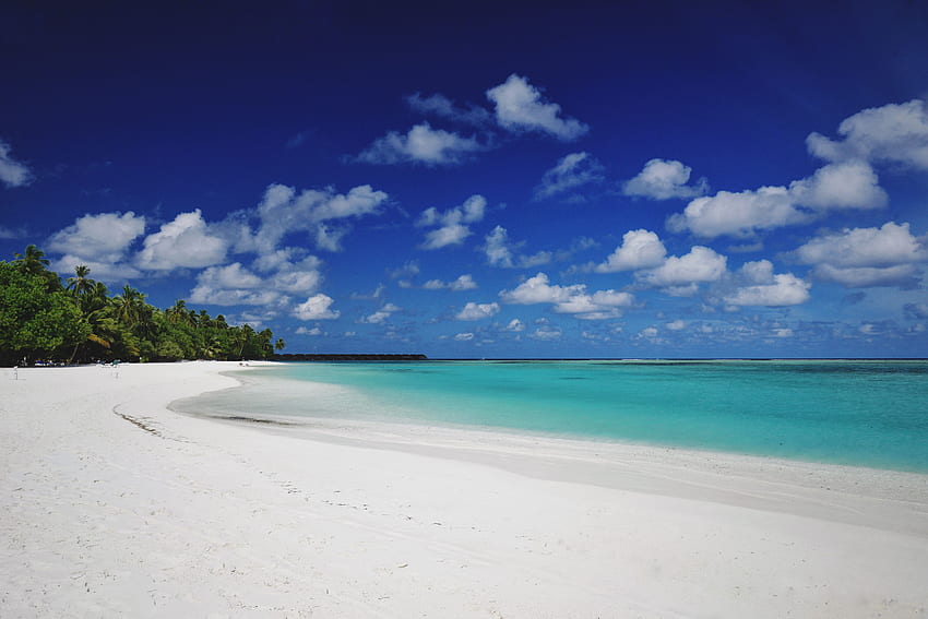 Natura, spiaggia, sabbia, palme, isola, tropicale, Maldive Sfondo HD