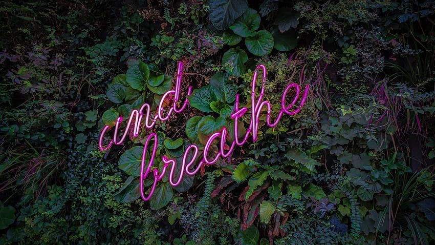 Breathe, Neon sign, Pink, Trees, , graphy / Most Popular,. for iPhone, Android, Mobile and HD wallpaper