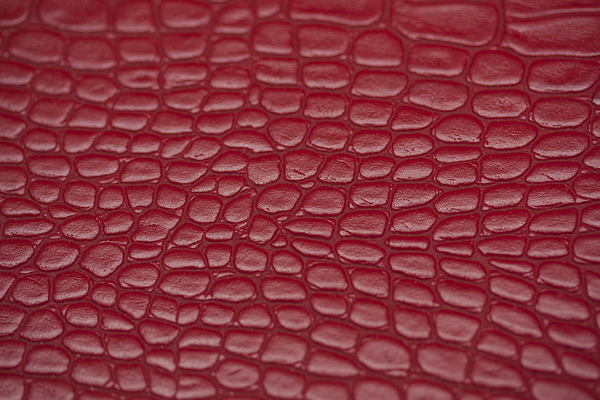 Texture, Textures, Surface, Relief, Raised, Leather, Skin HD wallpaper