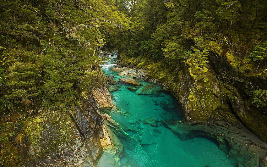 Mavi Havuzlar, South Island Yeni Zelanda, ağaçlar, orman, kayalar, su HD duvar kağıdı