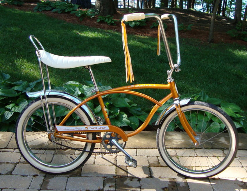 Gold Sting-Ray, bicicleta, picadura, oro, ray fondo de pantalla