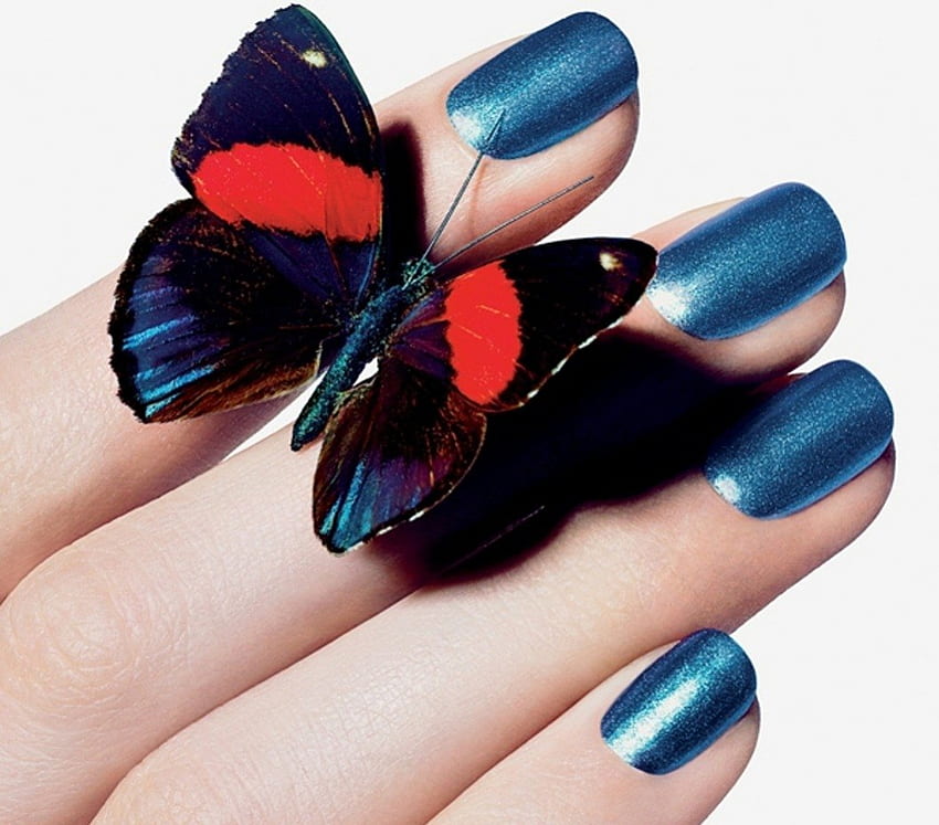 Mariposa, azul, manos, esmalte de uñas. fondo de pantalla