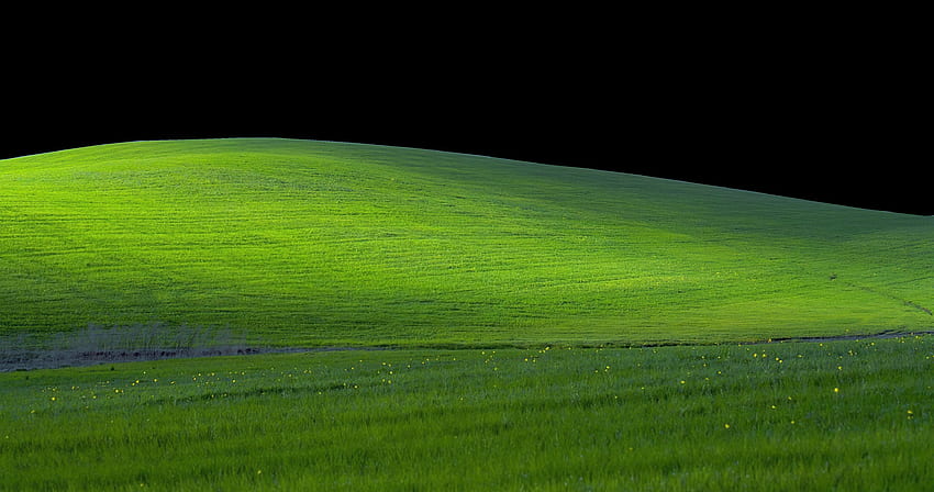투명한 하늘이 있는 Windows XP Bliss : R , Windows XP Grass HD 월페이퍼