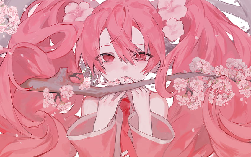 pink miku, sakura HD wallpaper