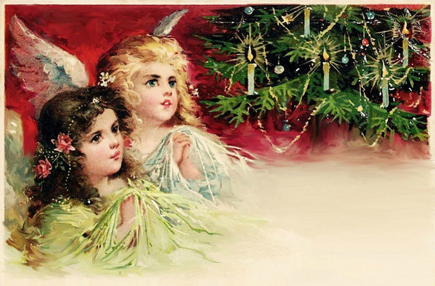 메리 크리스마스!, 귀여운, 천사, 장미, 꽃, 양초, 날개, 흰색, 장식품, 소녀, 나무, 장식, 핑크, 크리스마스, 녹색, 조명, 빨간색, 카드 HD 월페이퍼