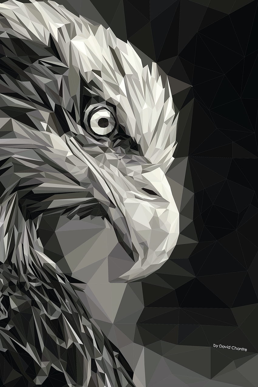 Portrait d'aigle réalisé dans illustrator, environ 3k polygones.*désolé pour les tags :) Fond d'écran de téléphone HD