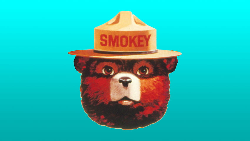 Smokey Bear Turns 74! Look Back at the Icon's Historic Print Ads. PopIcon.life HD wallpaper