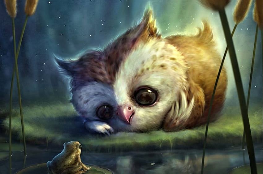 Owl and Frog, Frog, cute, Owl, Art HD wallpaper