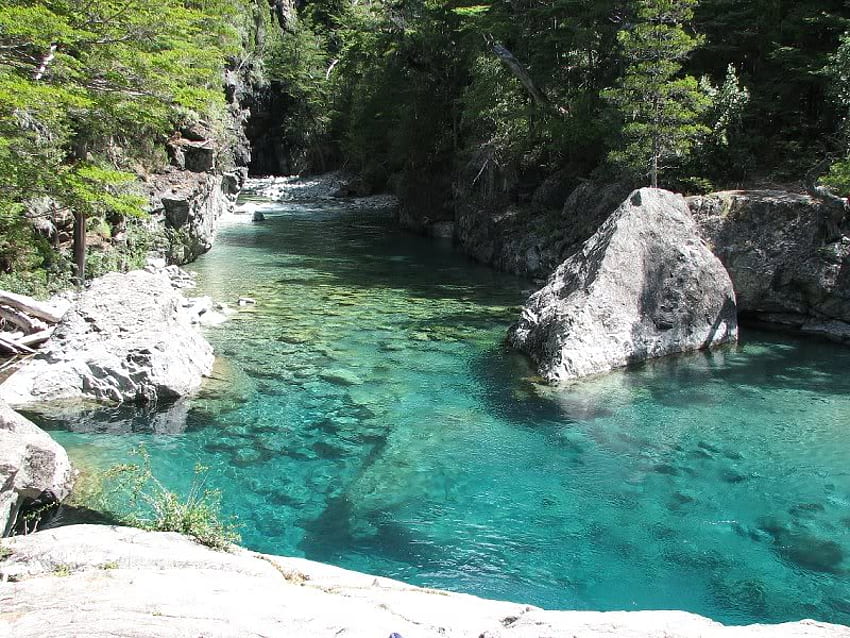 Rivière Azul, arbres, rivière, eau, rocher Fond d'écran HD