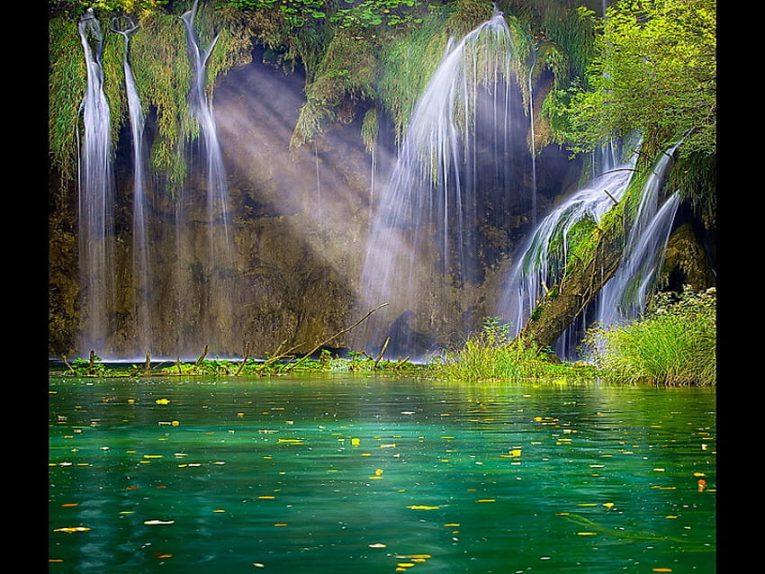Lagoon waterfall, trees, waterfalls, water plants, woodland, lagoon HD  wallpaper | Pxfuel