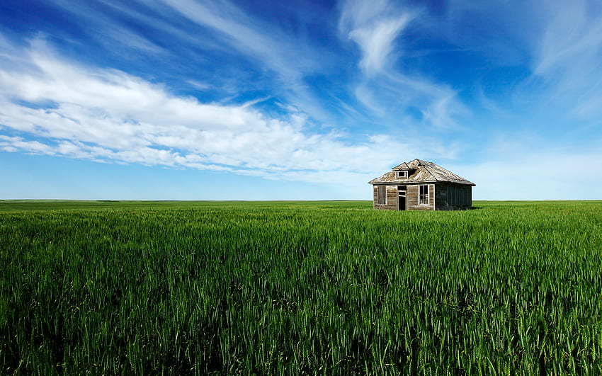 Old House Grass Field [] for your , Mobile & Tablet. Explore Field . Hubble Ultra Deep Field , Chicago Cubs , Lavender Fields, Grassy Field HD wallpaper