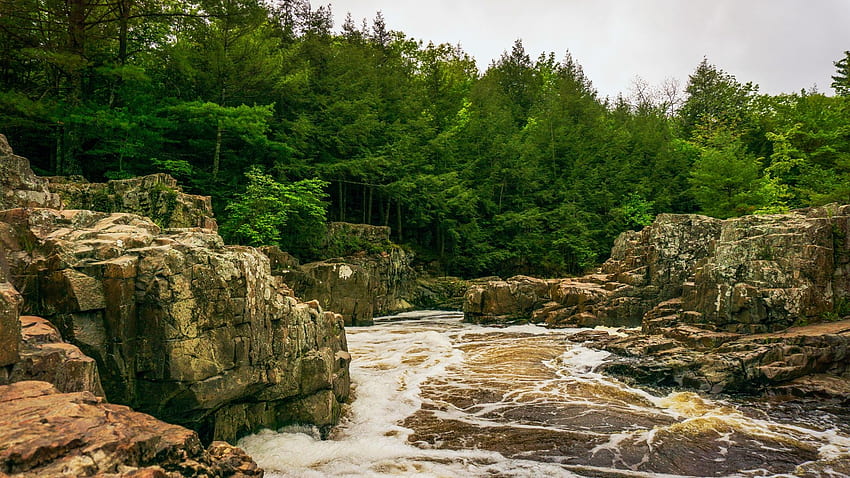 Dells of the Eau Claire River in Wisconsin, landscape, trees, rocks, usa, stones HD wallpaper