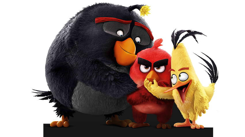 The Angry Birds , , Plano de fundo e, Cute Cartoon Bird papel de parede HD