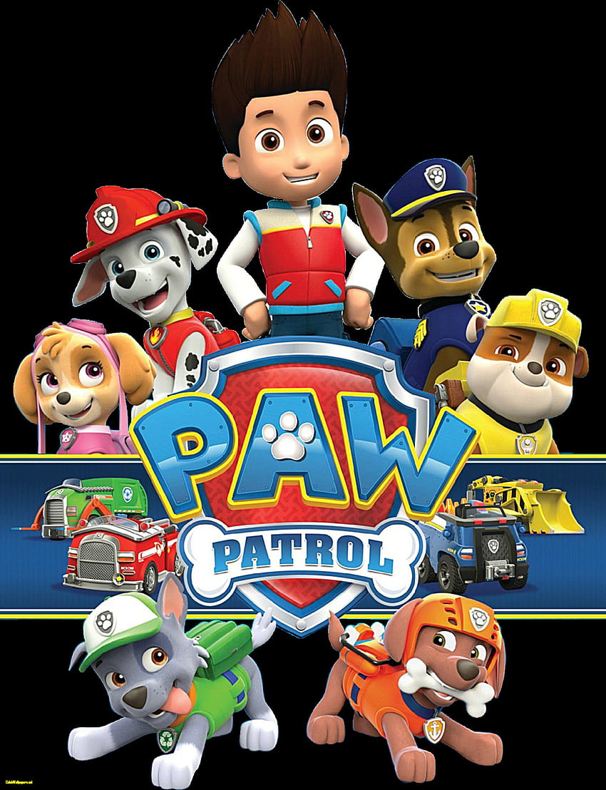Paw Patrol Panoramic Premium wall murals  Buy it now