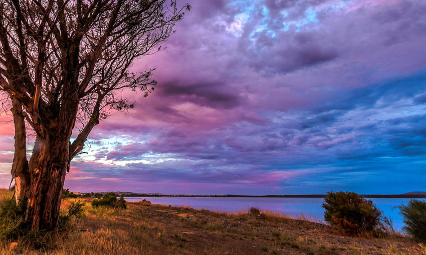 ออสเตรเลีย พอร์ตลินคอล์น ธรรมชาติ ท้องฟ้า หญ้า แม่น้ำ 2000x1200 วอลล์เปเปอร์ HD