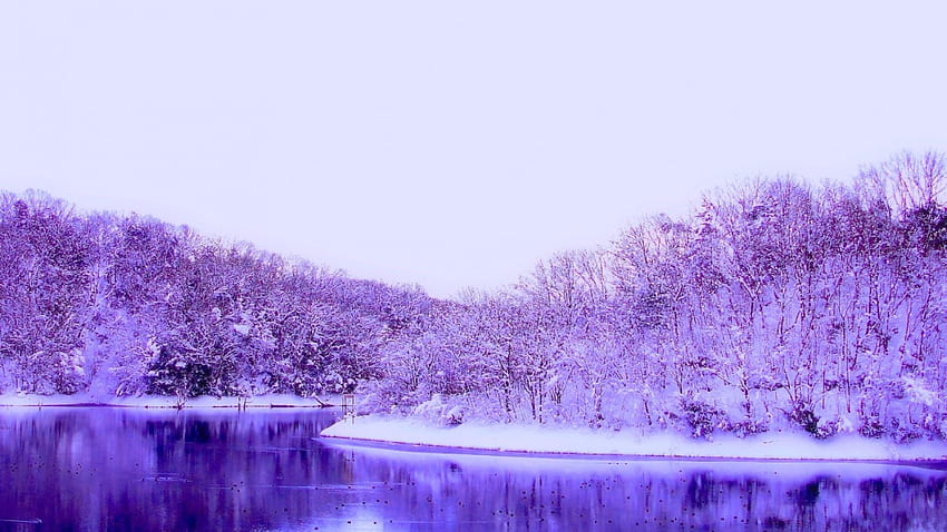 WINTER LAKE, winter, nature, lake, snow HD wallpaper
