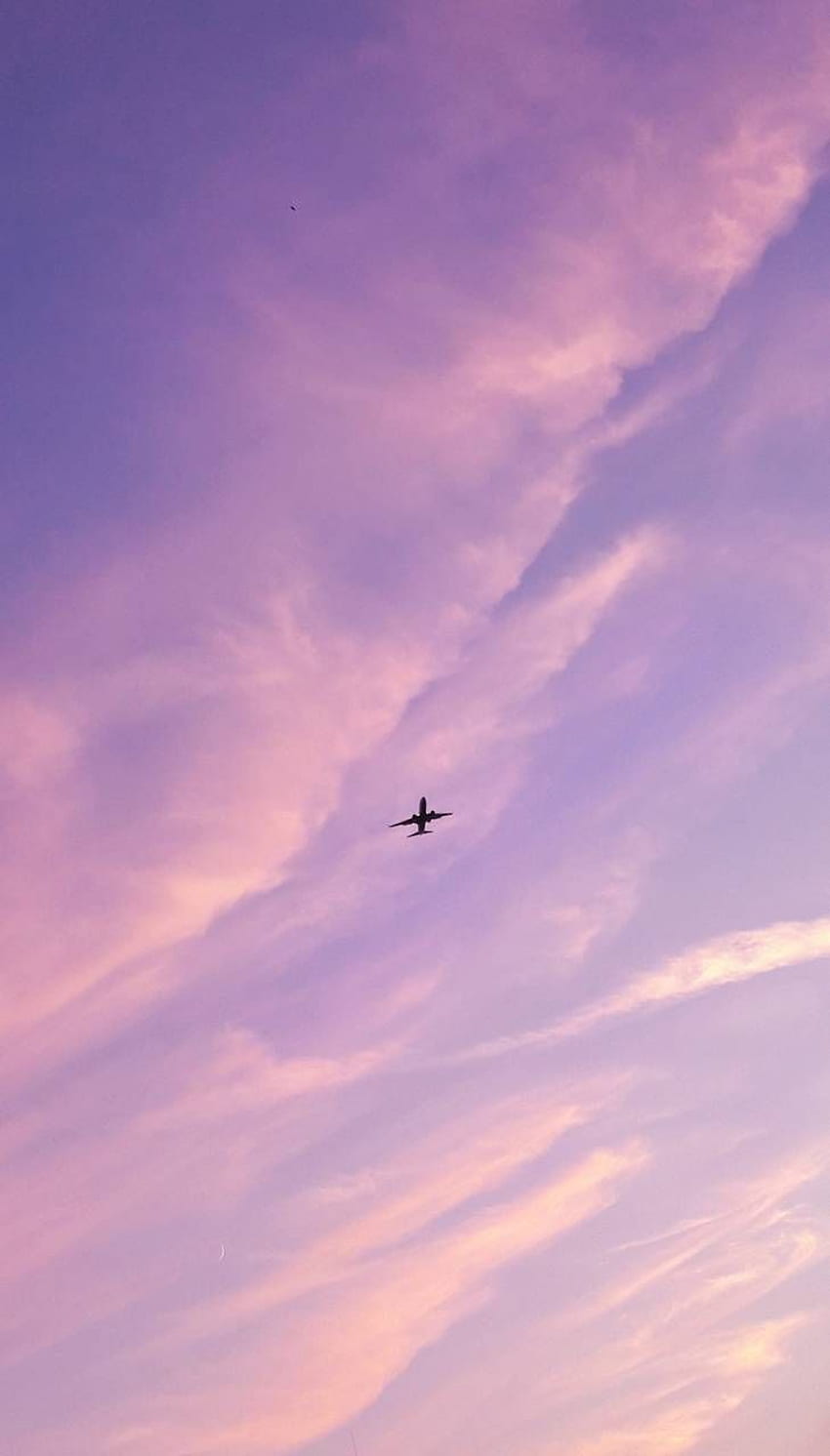 mosca, avión rosa fondo de pantalla del teléfono