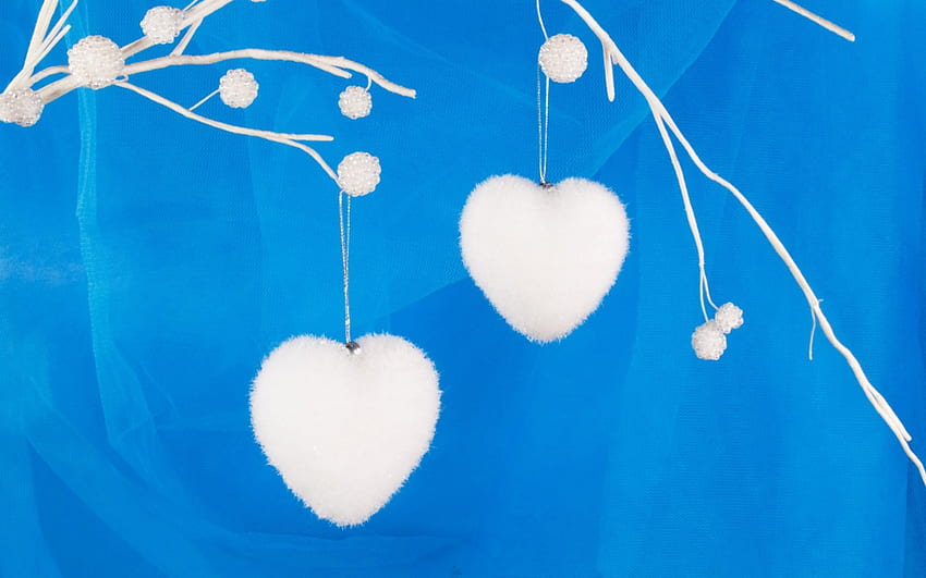 Happy Valentine's Day!, blue, branch, valentine, white, day, heart HD wallpaper
