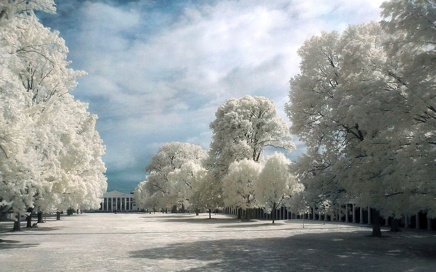 for walls dramatic. Ir graphy ., Infrared Landscape HD wallpaper