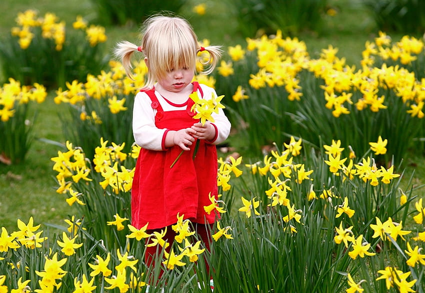 flower among flowers, little girl, daffodils, flowers, spring, red dress HD wallpaper