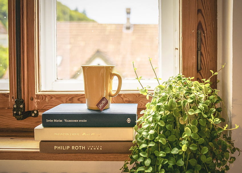 Books, , , Cup, Window, Window Sill, Windowsill, Tea, Indoor Plant, Houseplant HD wallpaper