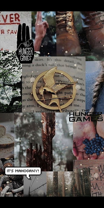 The Hunger Games Catching Fire HD Movies 4k Wallpapers Images  Backgrounds Photos and Pictures