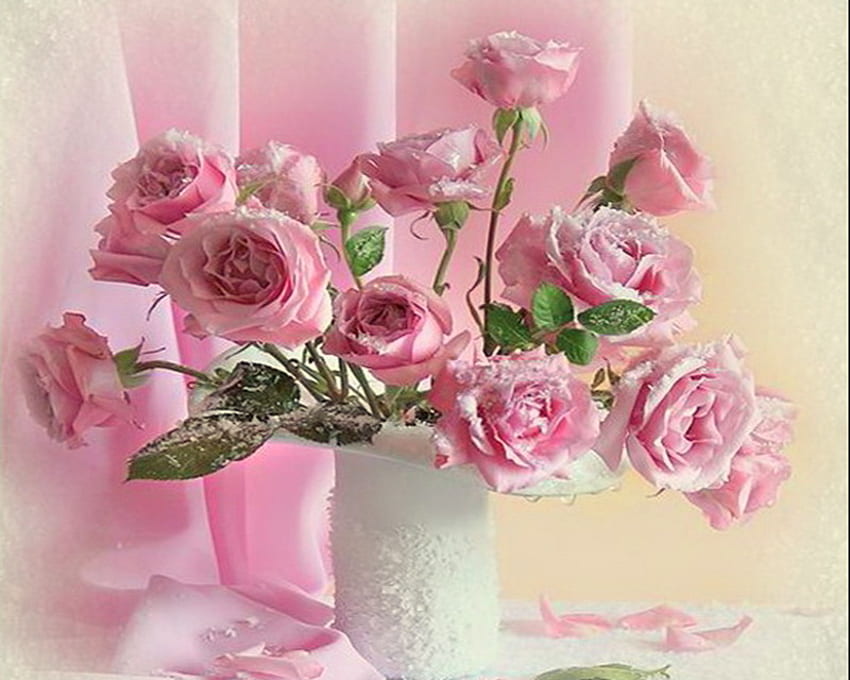 Pink and Pretty, still life, pink, green leaves white vase, drape, roses, flowers HD wallpaper
