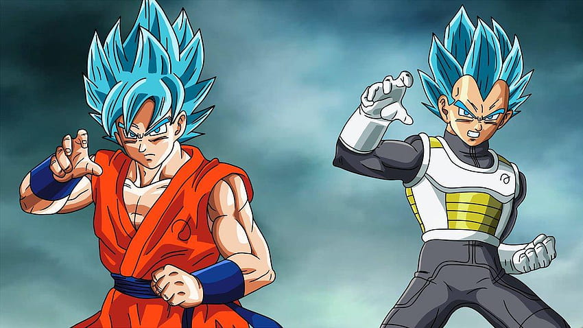 Goku And Vegeta for Android, Goku and Vegeta Blue HD wallpaper