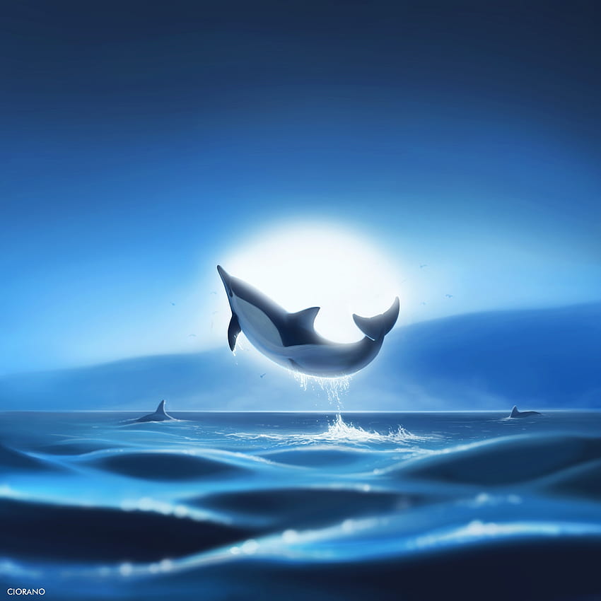 Whale fish, jump, sea and moon, silhouette, art HD phone wallpaper