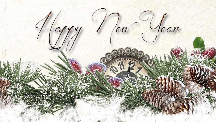 Winter New Year, winter, New Year, time, snow, pine cones, celebrate, clock, fir HD wallpaper