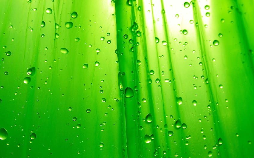 verde, esverdeado papel de parede HD