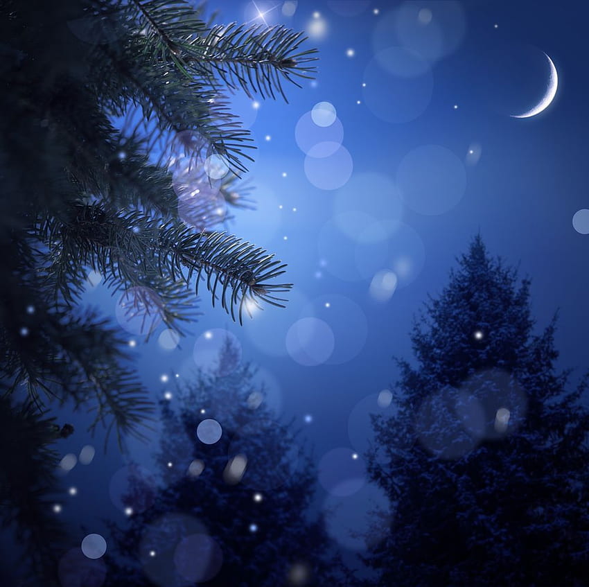 Christmas night sky stars. Christmas night, O holy night, Holy night, Snowy Christmas Night HD wallpaper