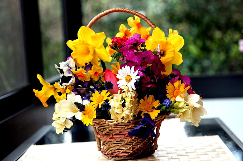 Flowers, Narcissussi, Bouquet, Basket, Hydrangea, sia, Muskari, Muscari, Viola, Viol HD wallpaper