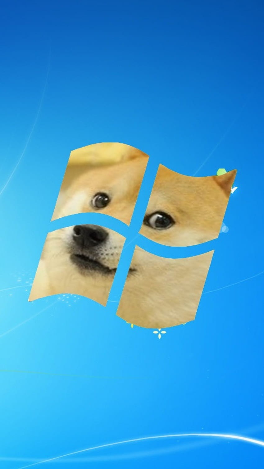 Funny Memes, Window Logo, Dog Background HD phone wallpaper