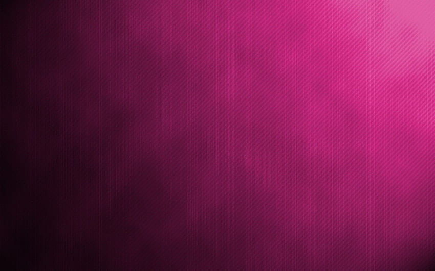 De rosa fuerte para fondo de pantalla | Pxfuel