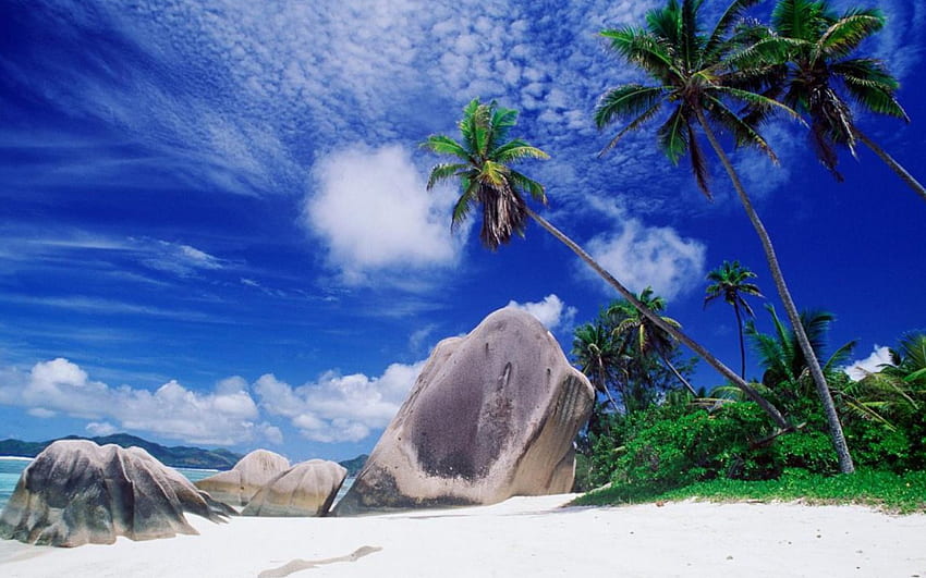 ชายหาด สีฟ้า ท้องฟ้า ธรรมชาติ วอลล์เปเปอร์ HD
