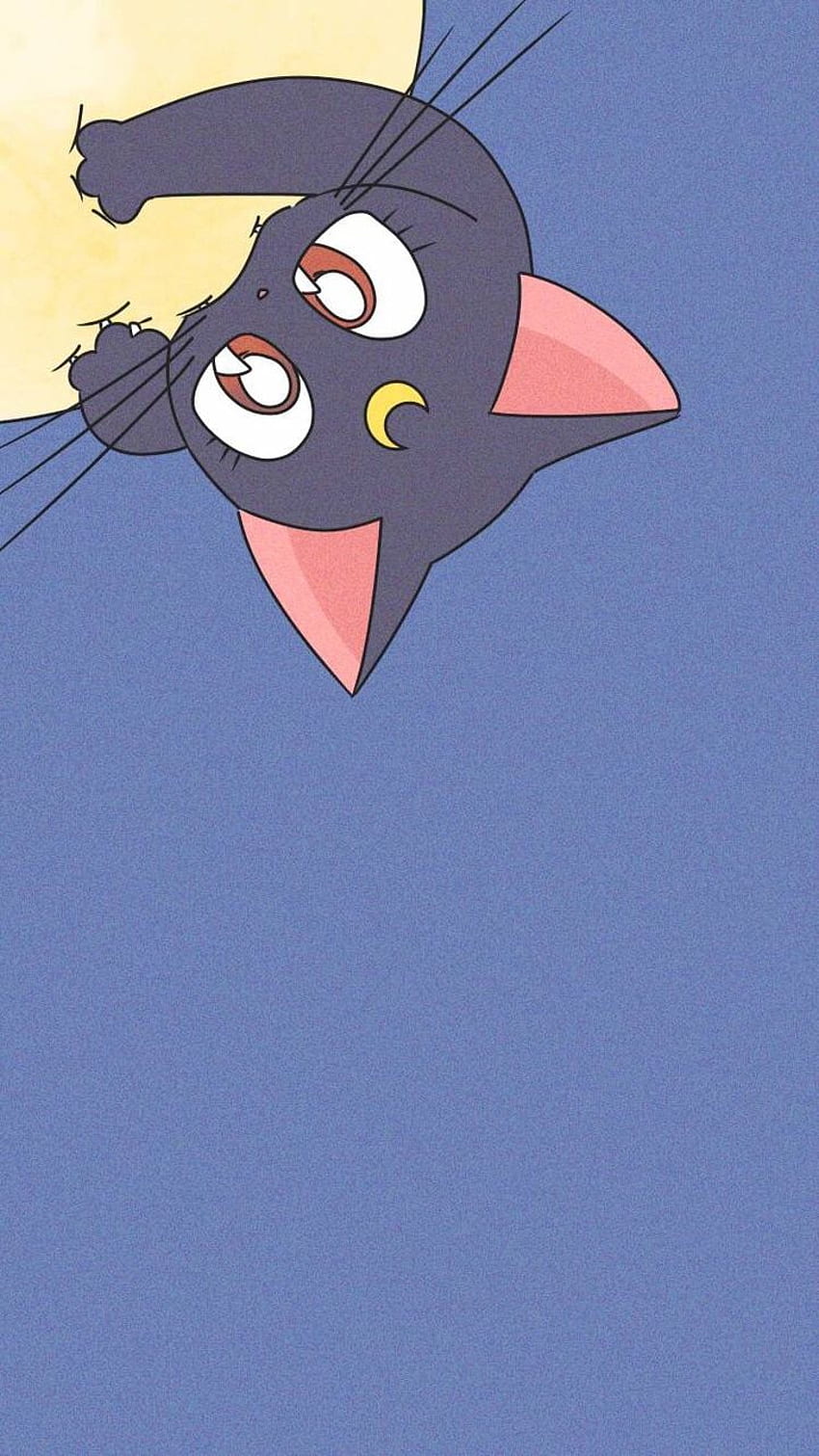 childhood, anime, background and cat -, Sailor Moon Luna HD phone wallpaper