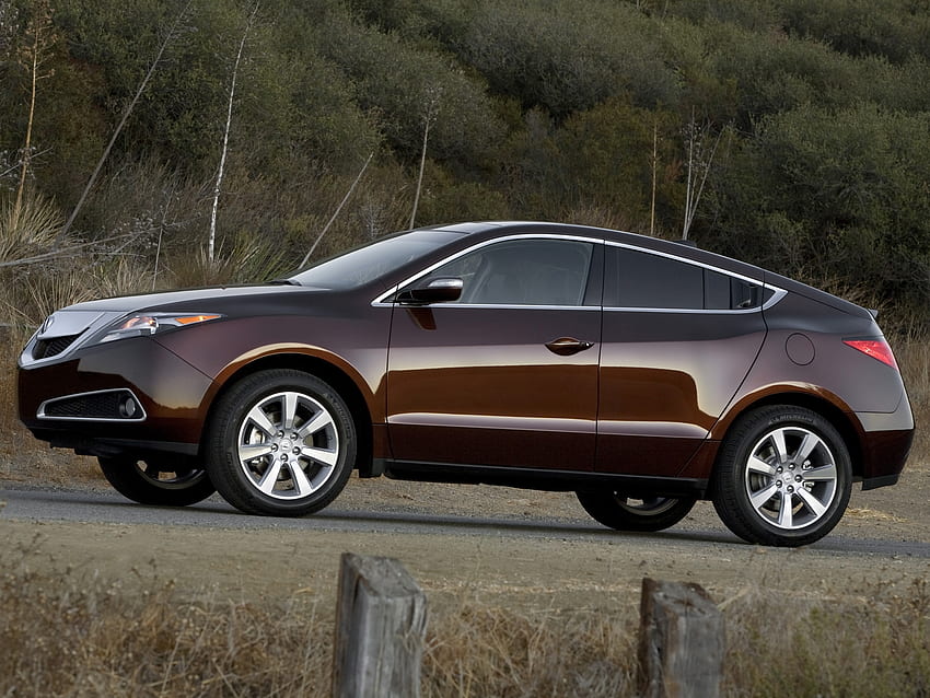 Auto, Nature, Grass, Acura, Cars, Brown, Side View, Style, Akura, Shrubs, Zdx, 2009 HD wallpaper