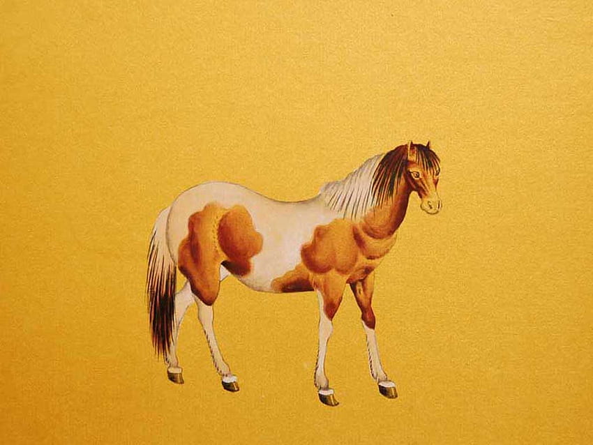 Horse, animal, drawing, yellow HD wallpaper