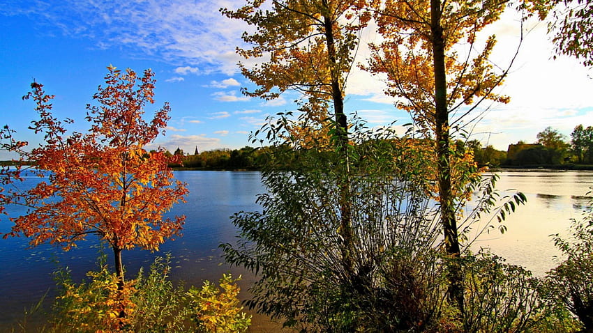 Jesienna rzeka, rośliny, niesamowity, kolory, odbicia, ładny, sceneria, drzewa, odruch, lustro, kraj, lasy, panorama, liście, widok, natura, liść, pnie, grafika, wysoka rozdzielczość, sceniczny, jesień, niesamowity, woda, scena, powierzchnia, piękny, pory roku, gałęzie, chłodno, chmury, niebo, rzeki Tapeta HD