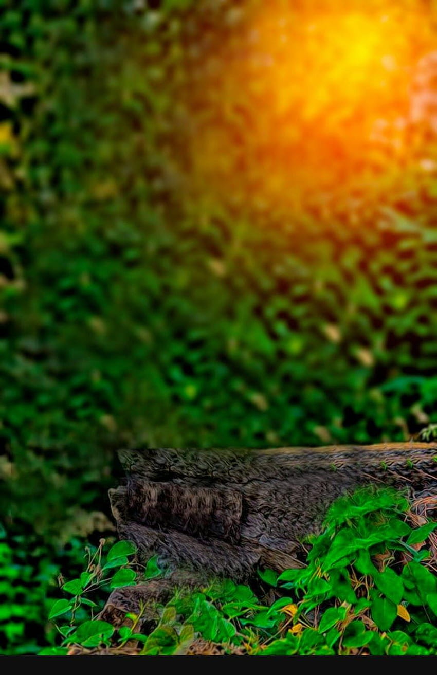 Picsart Blur Nature Background - HD phone wallpaper | Pxfuel