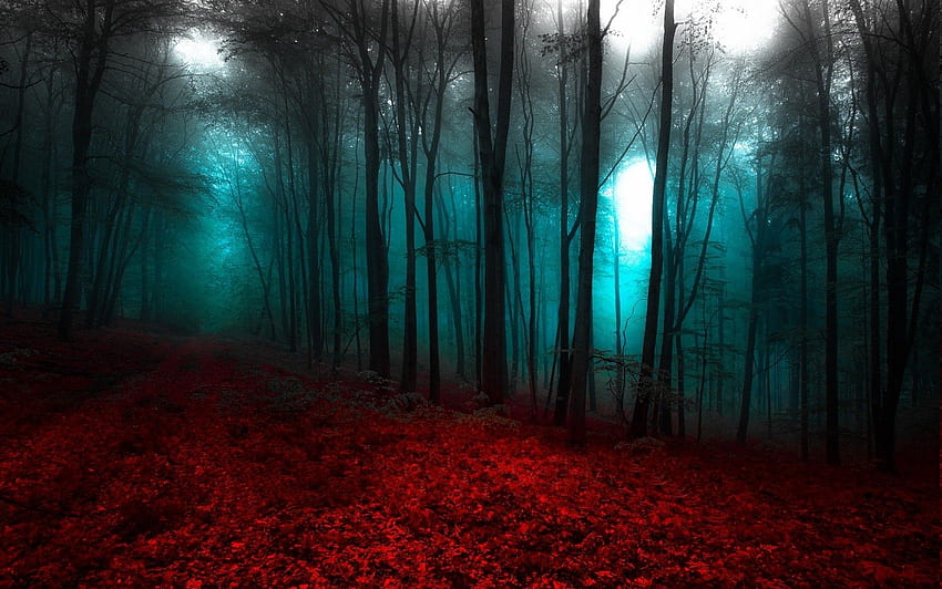 naturaleza, paisaje, rojo, azul, bosque, niebla, árboles, camino y móvil, selva roja fondo de pantalla